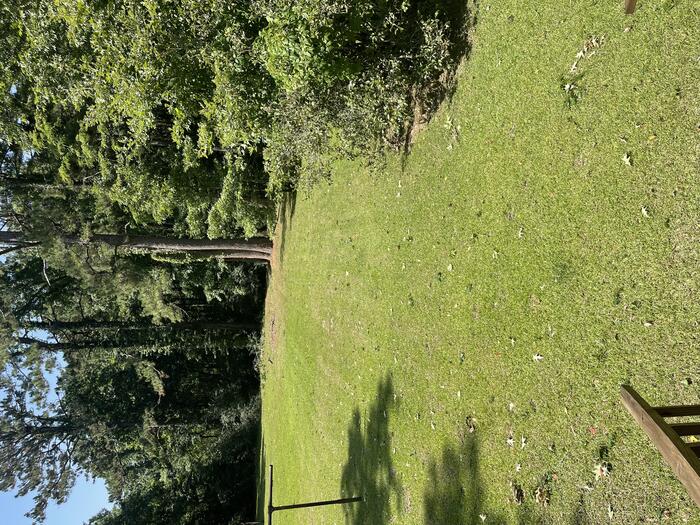 Back yard Listing photo 3