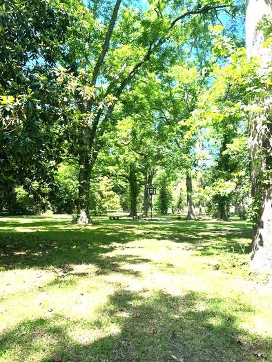 YARD Listing photo 19