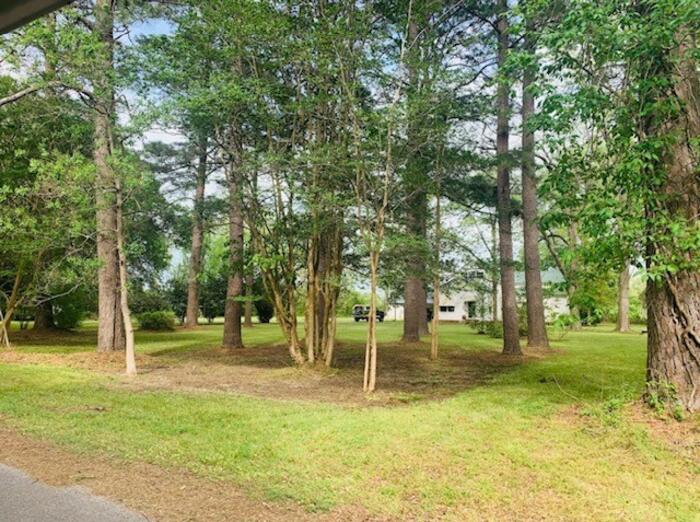 YARD Listing photo 6